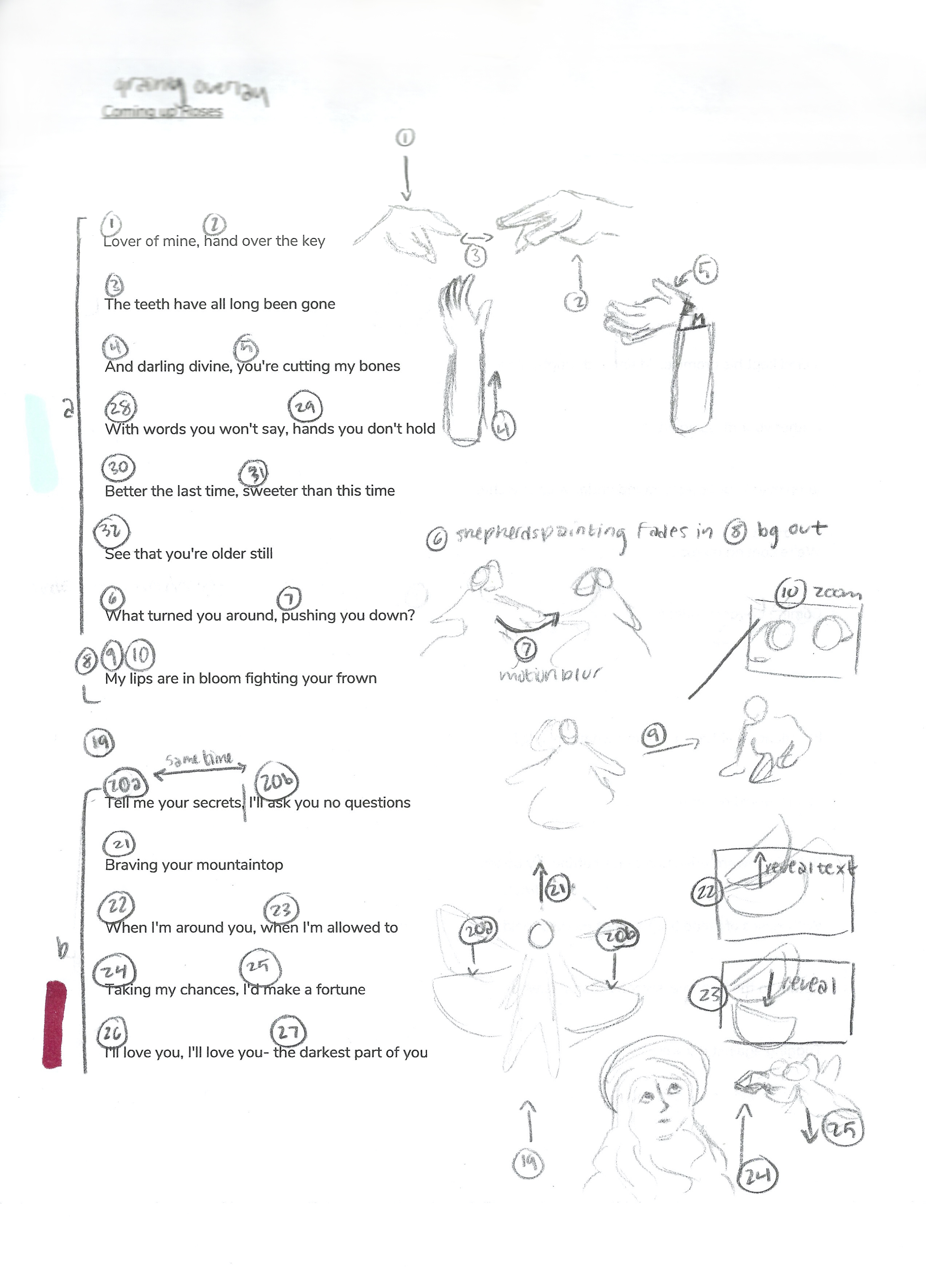 coming-up-roses-storyboard-draft-1-1